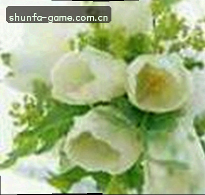 赵敏